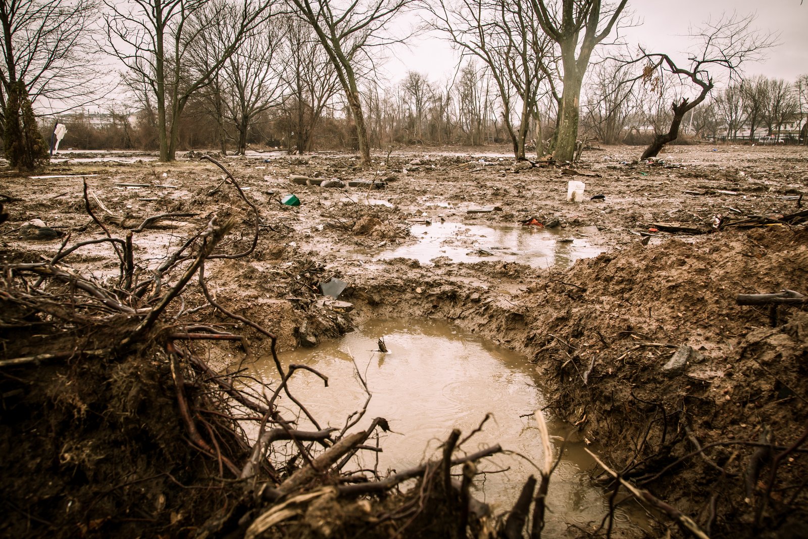 art-of-sandy-mo-staten island 2-23.jpg